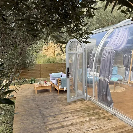 Sial Skynest Vlorë