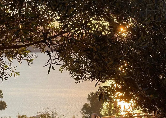 Sial Skynest Luxe tent Vlorë